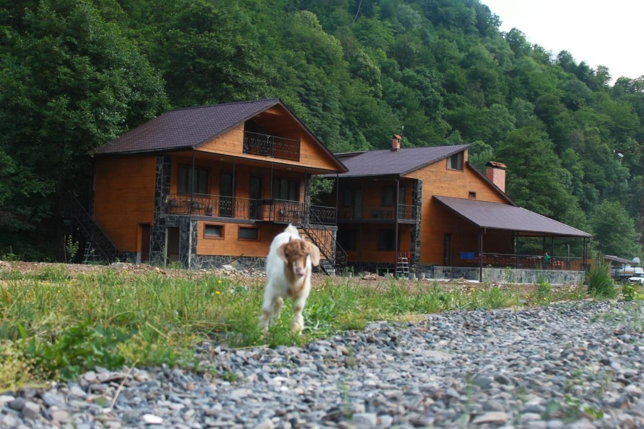 Отель Tourist Complex Khomi Chargali